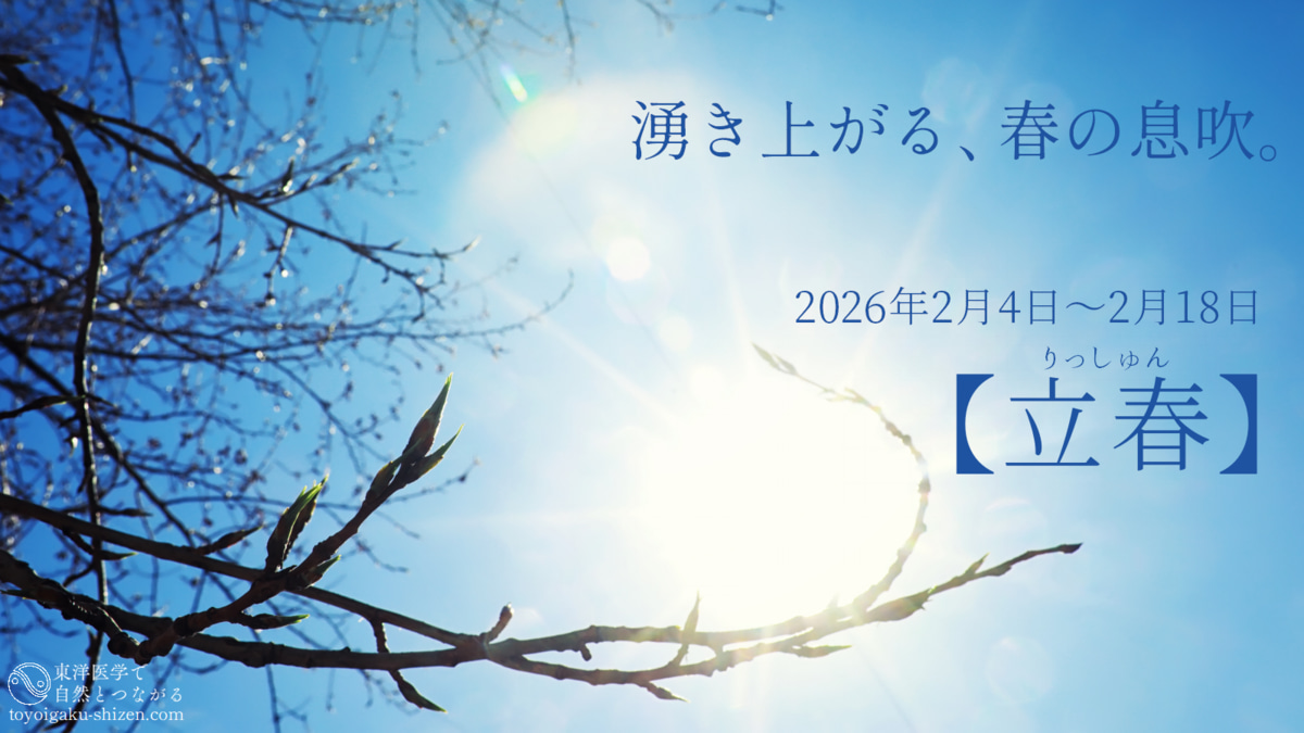 立春のイメージ。太陽と青空をバックに、樹木の枝から春の芽吹きがはじまる