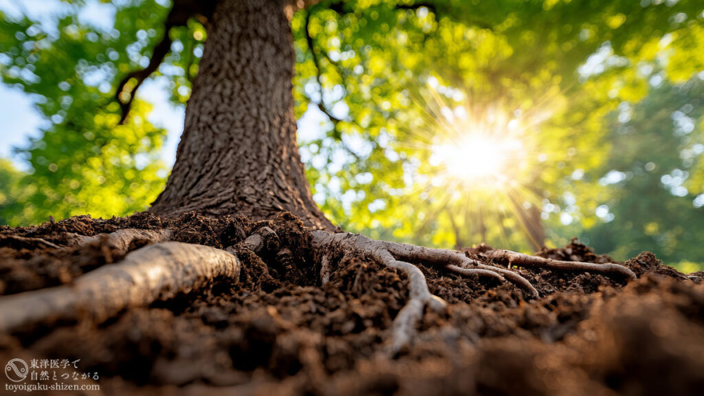 二十四節気「啓蟄（けいちつ）」のイメージ。大地にしっかりと根を下ろした木が空に向かって真っすぐ伸びている