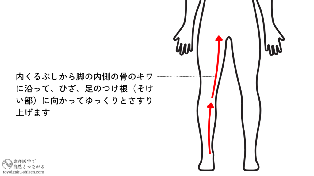 脚の内側の肝経走行部に沿ったマッサージの説明図