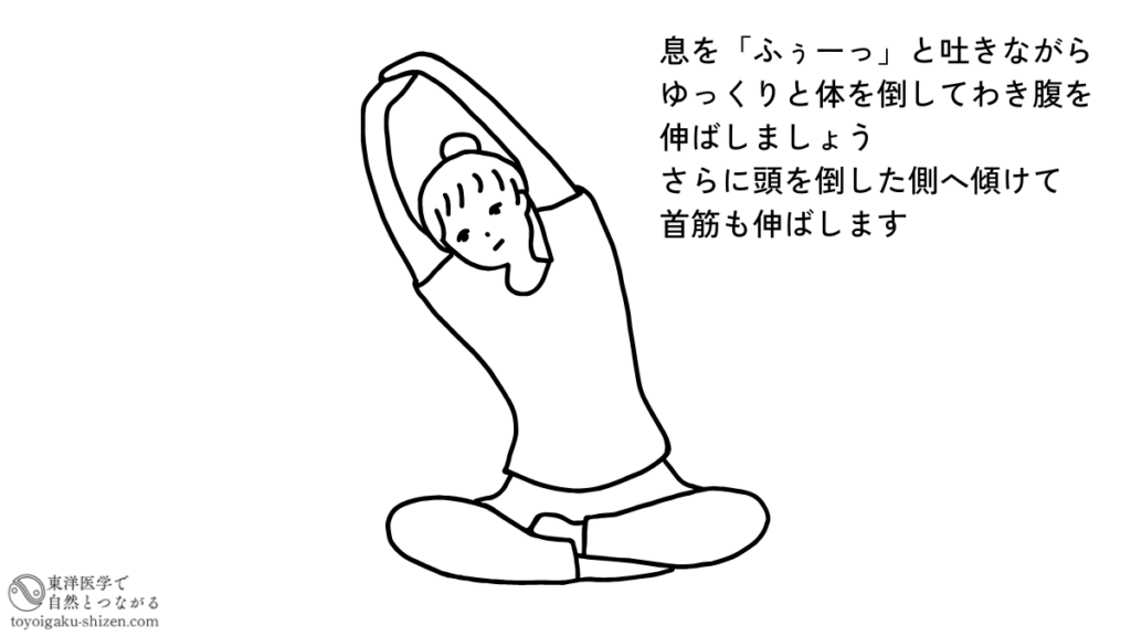 わき腹から首筋にかけての肝経ストレッチの説明図