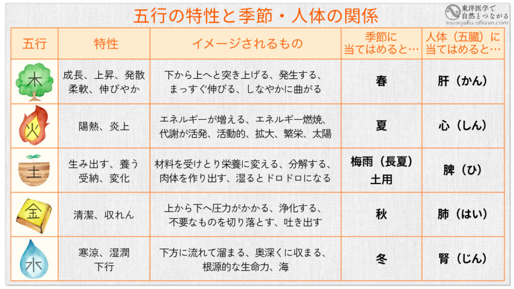 五行と季節、人間の体（五臓）の関係図