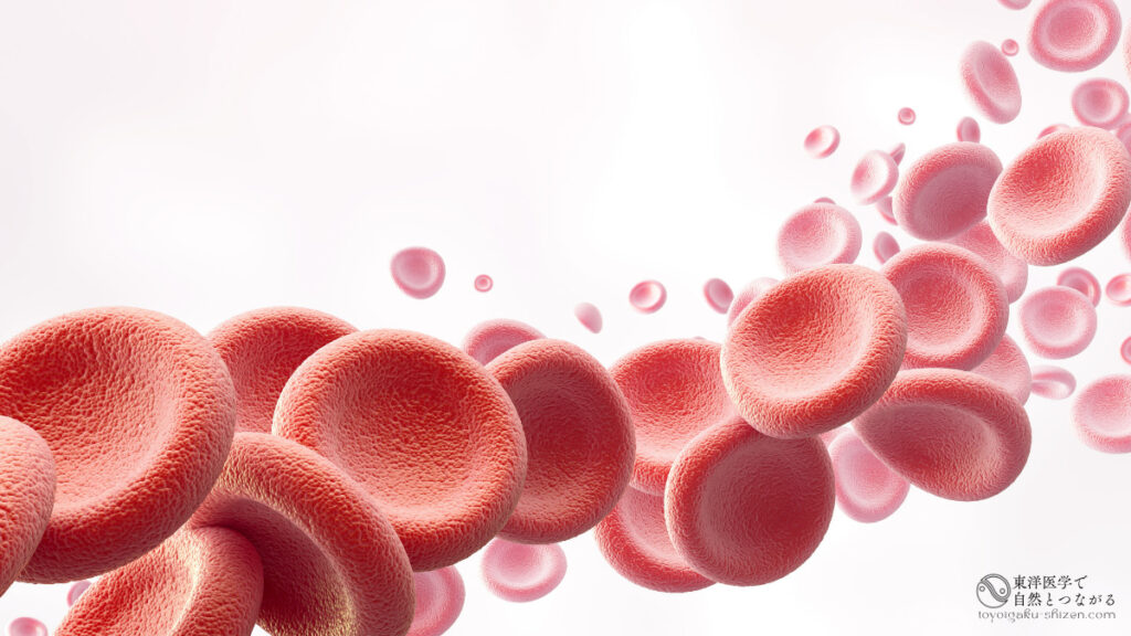 人間の血液細胞のひとつである赤血球には、赤い色素である「ヘモグロビン」が含まれています。 ※図はイメージ