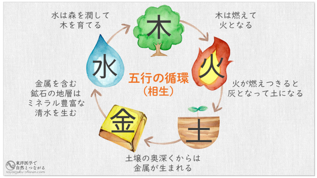 東洋医学の五行「木・火・土・金・水」の相生関係