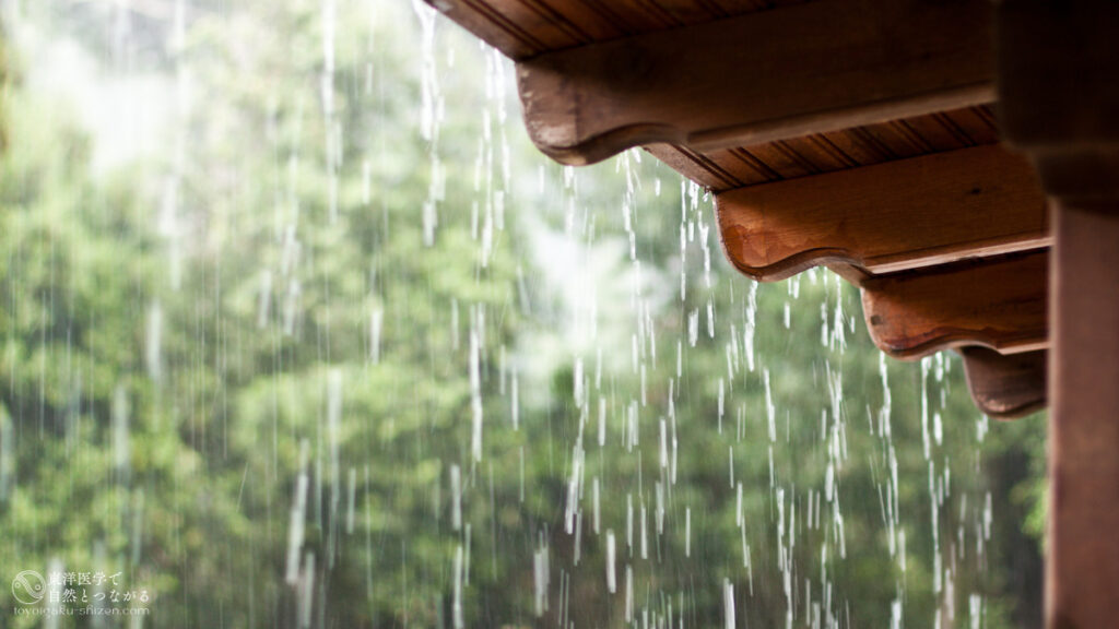 二十四節気「芒種(ぼうしゅ)」のイメージ。家の屋根から滴り落ちる梅雨の雨