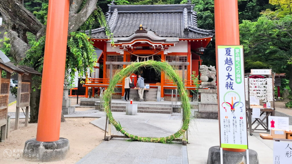 二十四節気「夏至」のイメージ。夏越しの大祓で神社で行われる茅の輪くぐり