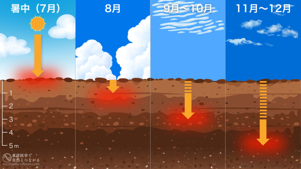 暑中に大地に浴びせられた太陽の熱エネルギーは、約5ヵ月かけて地下5メートル付近まで伝導される