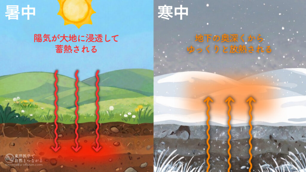 夏(暑中)に大地が浴びた熱エネルギー(陽気)が地下深くへと熱伝導されていき、その熱が冬(寒中)に地上へと放熱されることで極度の気温低下を防いでいる