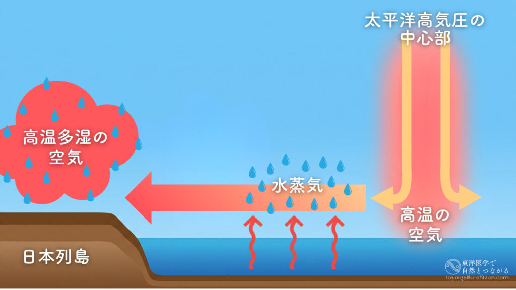 大暑の時期になると太平洋高気圧の中心部から高温の空気が海面に向かって吹き下ろされ、海上の水蒸気を大量に取り込んで日本列島に上陸するため、高温多湿の気候になる