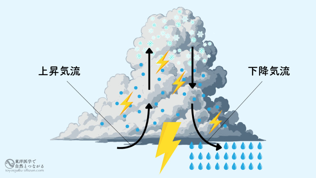 積乱雲のなかで上昇気流と下降気流が生まれ、氷の粒が激しく衝突して雷が発生。氷の粒が溶けて夕立やゲリラ豪雨になる。