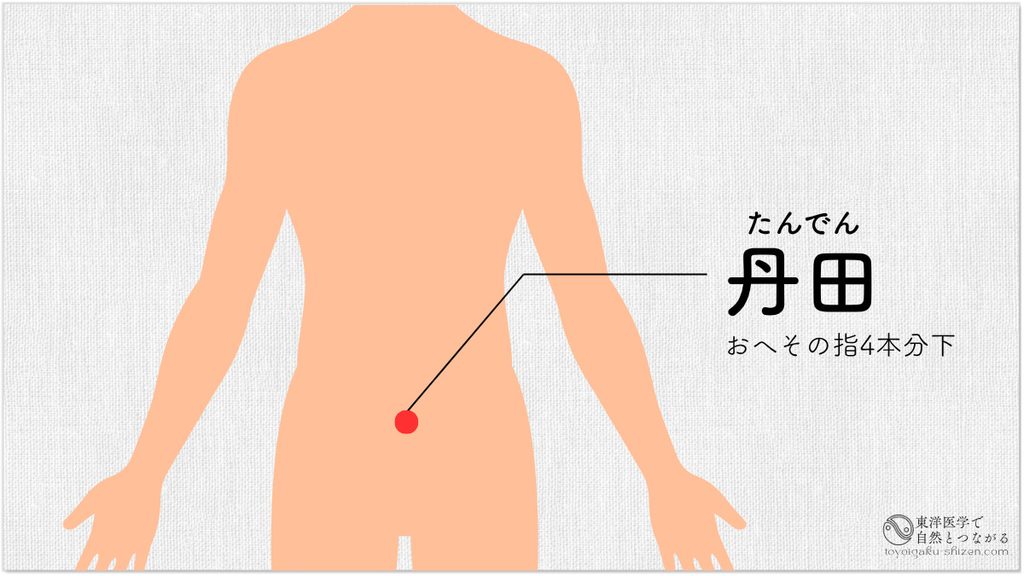 丹田（たんでん）の位置の説明図