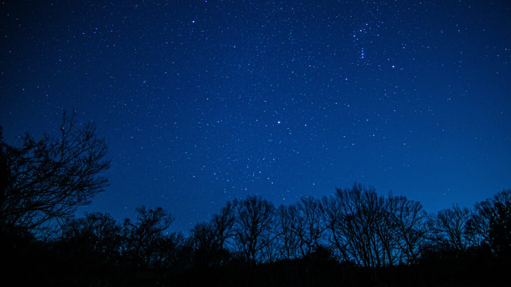 冬の夜の星空と木々のシルエット