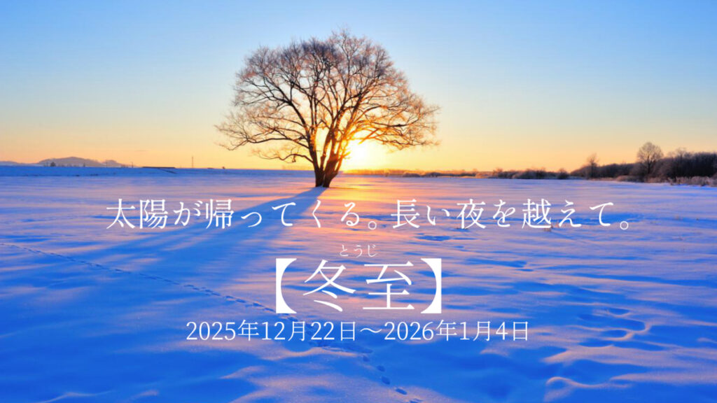 冬至のイメージ。北海道の雪原に立つ楡（にれ）が、夜明けの日の光に照らされている