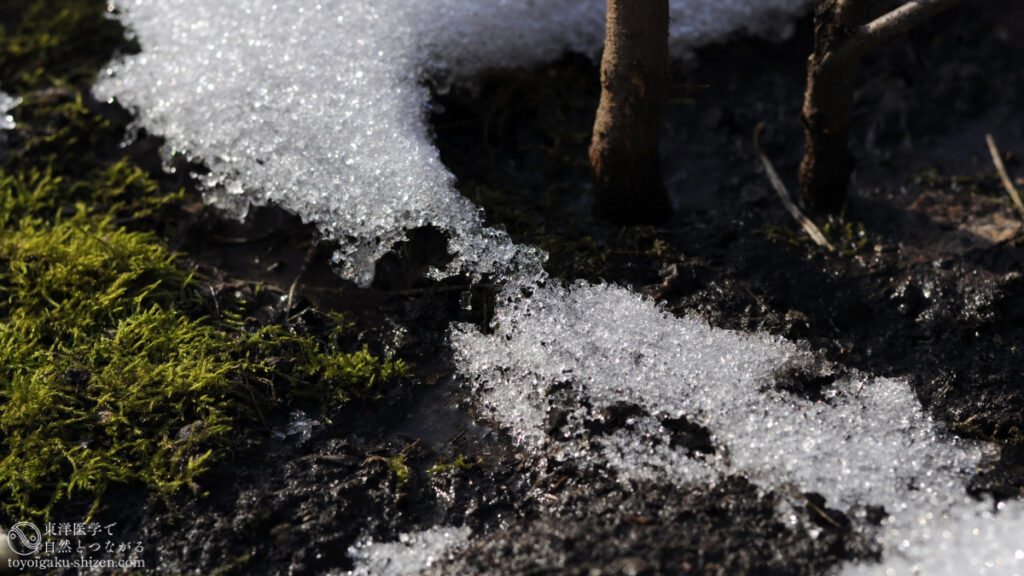二十四節気「雨水」のイメージ。雪どけ水が土にじわじわとしみ込んでいく