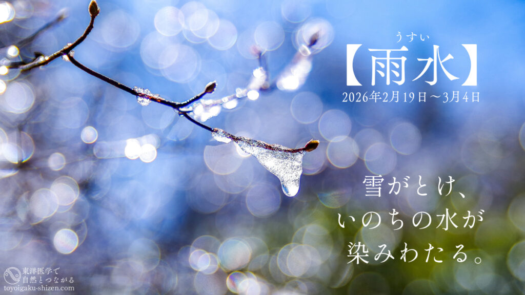 二十四節気「雨水」のイメージ。雪がとけて、雪どけ水が桜の木に染み込む様子
