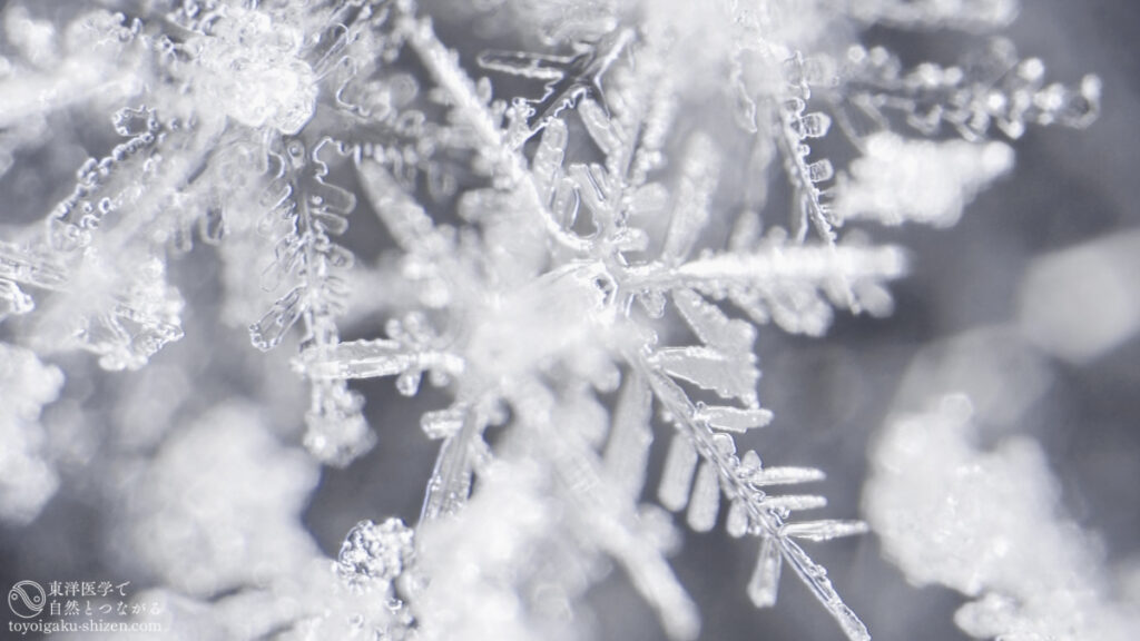 二十四節気「雨水」のイメージ。雪の結晶。結晶のすき間に多くの酸素が含まれている