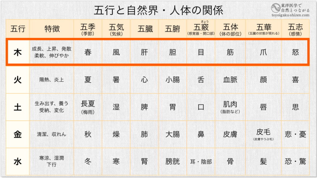 東洋医学（中医学）にもとづく五行と自然界・人体の関係表