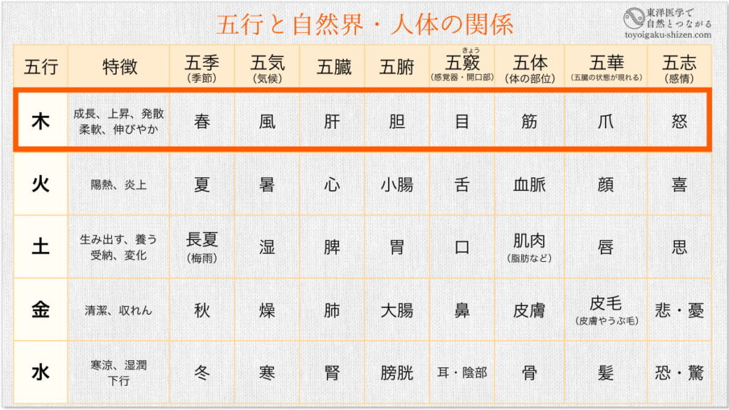 東洋医学（中医学）にもとづく五行と自然界・人体の関係表