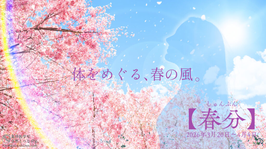 二十四節気「春分」のイメージ。晴れた日に満開の桜の花びらを散らす春の風を感じている女性のシルエット