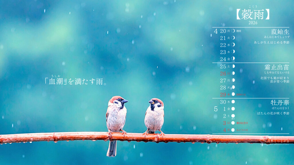 「東洋医学で自然とつながる」オリジナルの穀雨カレンダー壁紙（PC用）