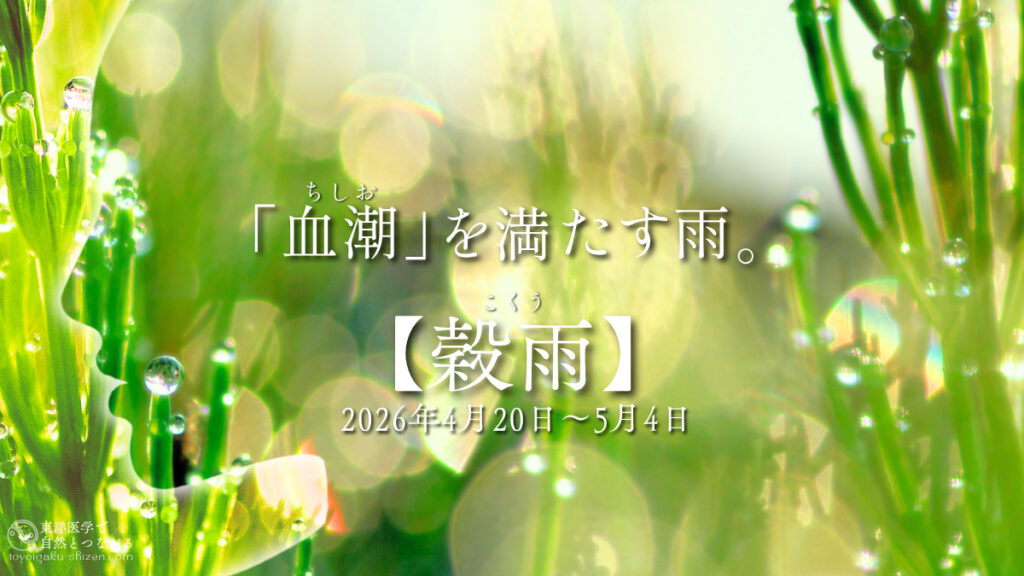 二十四節気「穀雨（こくう）」のイメージ。雨粒に濡れる新緑