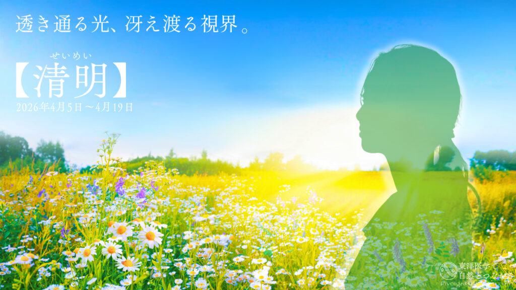 二十四節気「清明」のイメージ。青空の下に広がるマーガレットが咲く花畑を見晴らす女性