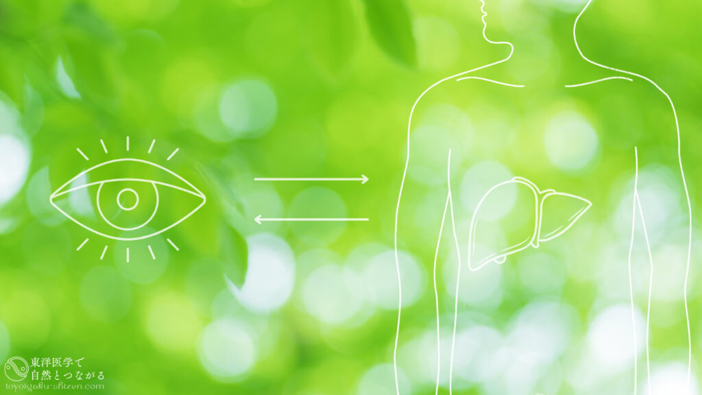 東洋医学の「肝は目に開竅（かいきょう）する」のイメージ