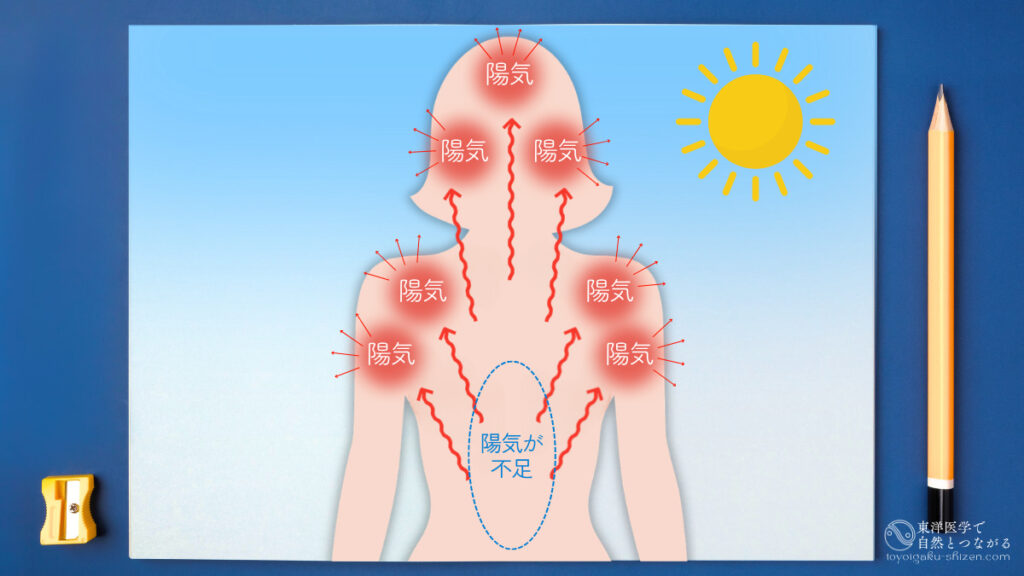暑中に入り、体内の陽気が体表面に浮き上がり、体表面の毛穴やキメが大きく開いて陽気を体外へと発散している。