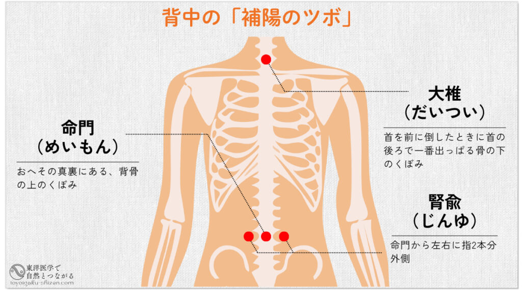 冬病夏治（とうびょうかち）におすすめの補陽のツボ。大椎（だいつい）、命門（めいもん）、腎兪（じんゆ）のツボの位置